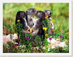 2008-04-05_17-33-29_CanonA95_37,6mm_1_4_eme * 2380 x 1800 * (1.4MB)