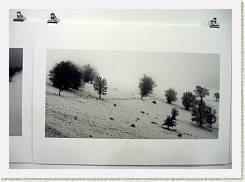 2008-04-05_17-39-19_CanonA95_37,6mm_1_20_eme * 2392 x 1715 * (1.22MB)