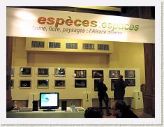 2008-04-05_17-45-38_CanonA95_37,6mm_1_20_eme * 2592 x 1944 * (1.24MB)