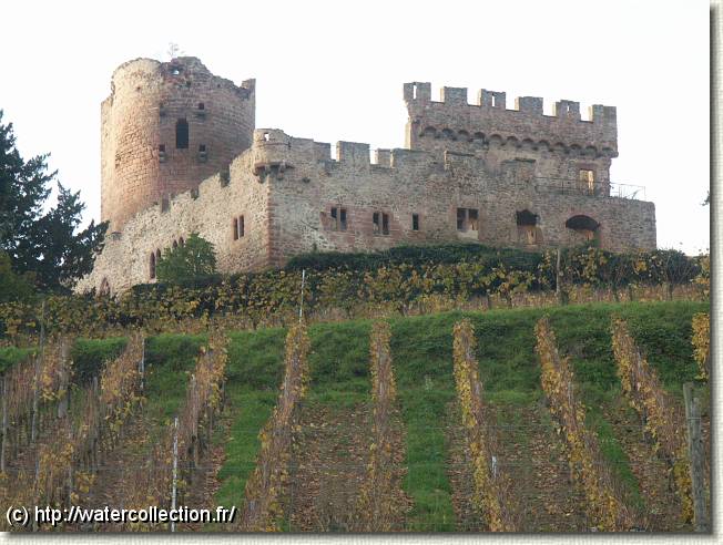 Diapositive suivante