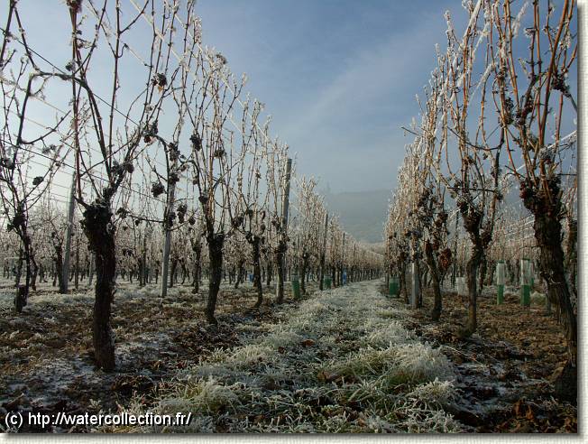 Diapositive suivante