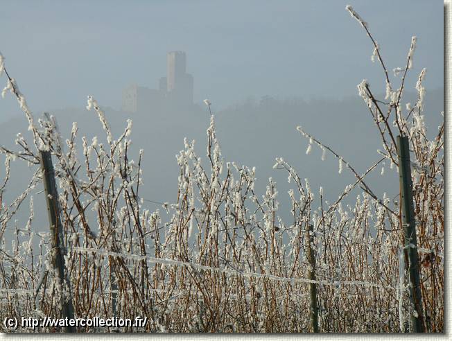 Diapositive suivante