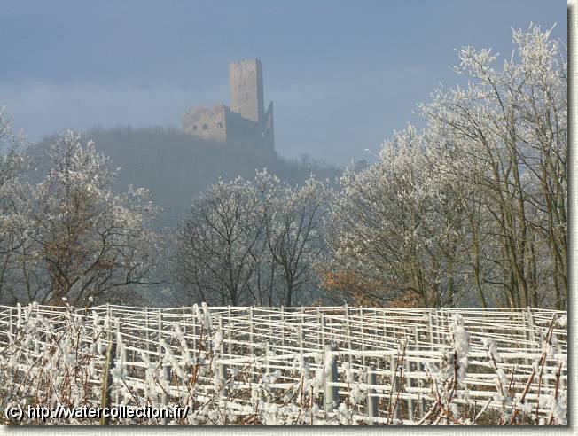 Diapositive suivante