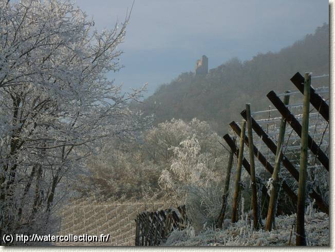 Diapositive suivante