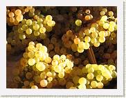 2007-09-29_08-46-43_CanonA95_78,1mm_1_250_eme * 2592 x 1944 * (2.53MB)