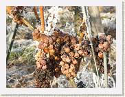 2007-12-22_13-17-46_DimageA2_105,0mm_1_320_eme * 2560 x 1920 * (3.25MB)