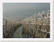 2007-12-22_13-18-03_DimageA2_75,0mm_1_500_eme * 2560 x 1920 * (3.71MB)