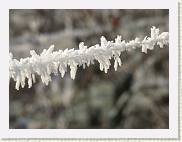 2007-12-22_13-20-13_DimageA2_200,0mm_1_800_eme * 2560 x 1920 * (2.75MB)