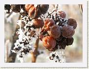 2007-12-22_13-20-57_DimageA2_170,0mm_1_250_eme * 2560 x 1920 * (2.8MB)