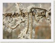 2007-12-22_13-22-32_DimageA2_200,0mm_1_800_eme * 2560 x 1920 * (3.1MB)