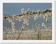 2007-12-22_13-23-11_DimageA2_112,0mm_1_640_eme * 2560 x 1920 * (2.86MB)