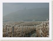 2007-12-22_13-24-13_DimageA2_80,0mm_1_500_eme * 2560 x 1920 * (3.42MB)