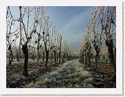 2007-12-22_13-24-49_DimageA2_28,0mm_1_500_eme * 2560 x 1920 * (3.99MB)