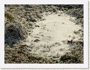 2007-12-22_13-36-13_DimageA2_158,0mm_1_500_eme * 2560 x 1920 * (4.01MB)