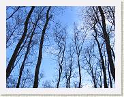 2007-12-26_15-48-14_CanonA95_37,6mm_1_500_eme * 2592 x 1944 * (3.96MB)