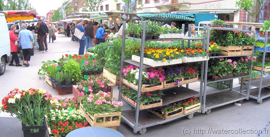 2006-05-20_08-50-12_Mai_37,6mm_Canon_Panorama 