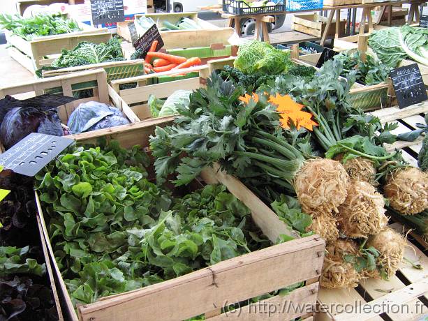 2006-07-08_10-49-31_Juillet_37,6mm_1_500_eme_Canon 