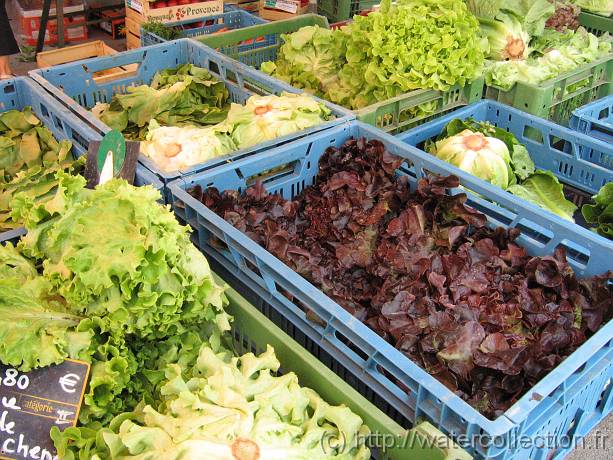 2006-07-08_10-55-34_Juillet_37,6mm_1_500_eme_Canon 