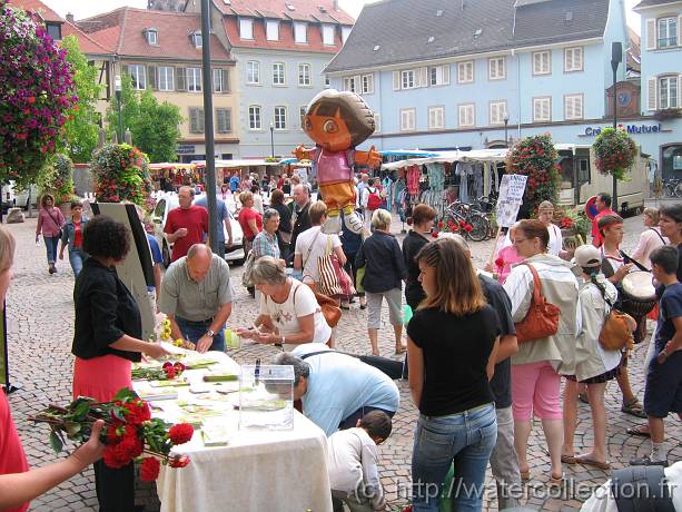 2006-08-08_10-23-58_aout_37,6mm_1_250_eme_Canon 