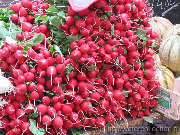 2006-08-08_10-31-29_aout_112,7mm_1_80_eme_Canon 