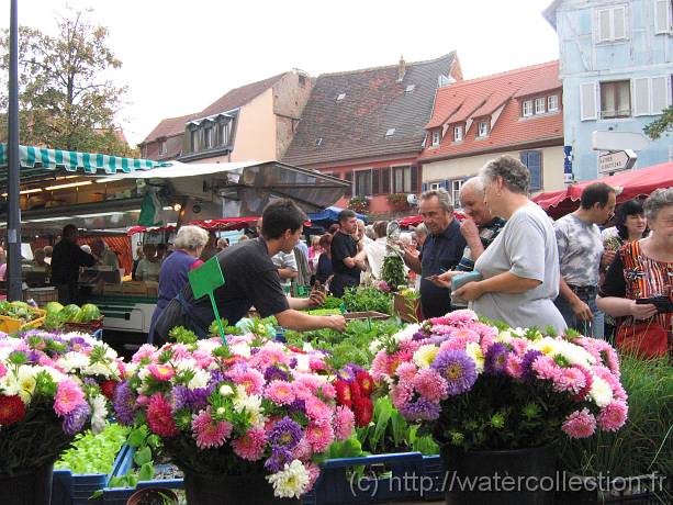 2006-08-08_10-33-56_aout_37,6mm_1_500_eme_Canon 