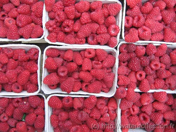 2006-08-08_10-55-49_aout_37,6mm_1_250_eme_Canon 