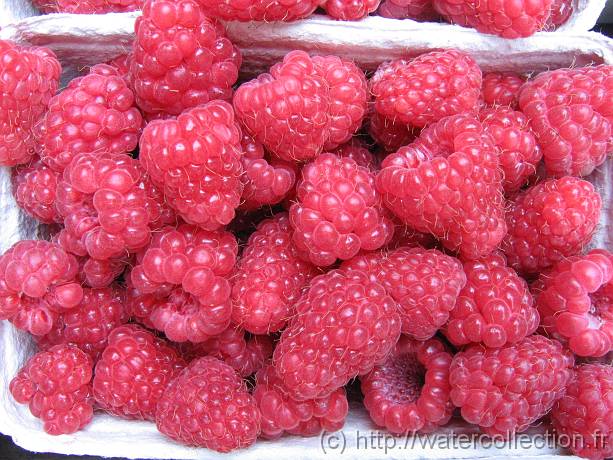 2006-08-08_10-57-03_aout_37,6mm_1_160_eme_Canon 