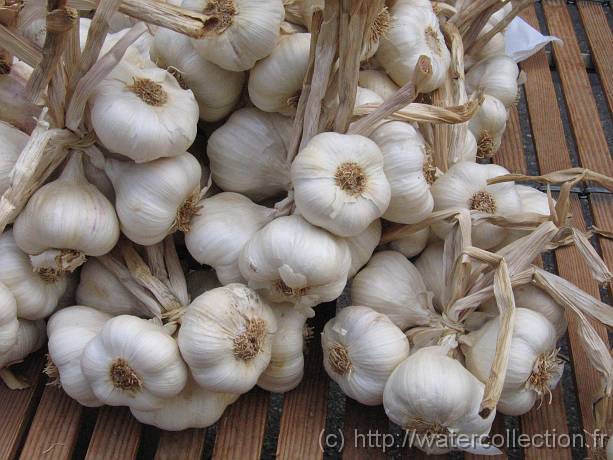 2006-08-08_11-08-08_aout_46,3mm_1_800_eme_Canon 